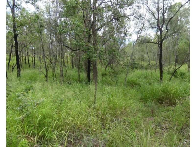 Lot 13 Lowmead Road, Lowmead QLD 4676