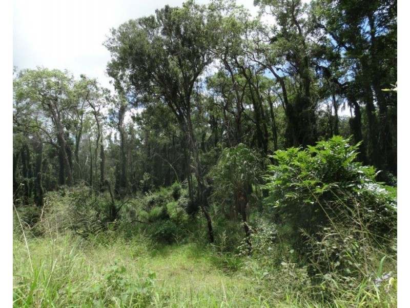 Lot 13 Lowmead Road, Lowmead QLD 4676
