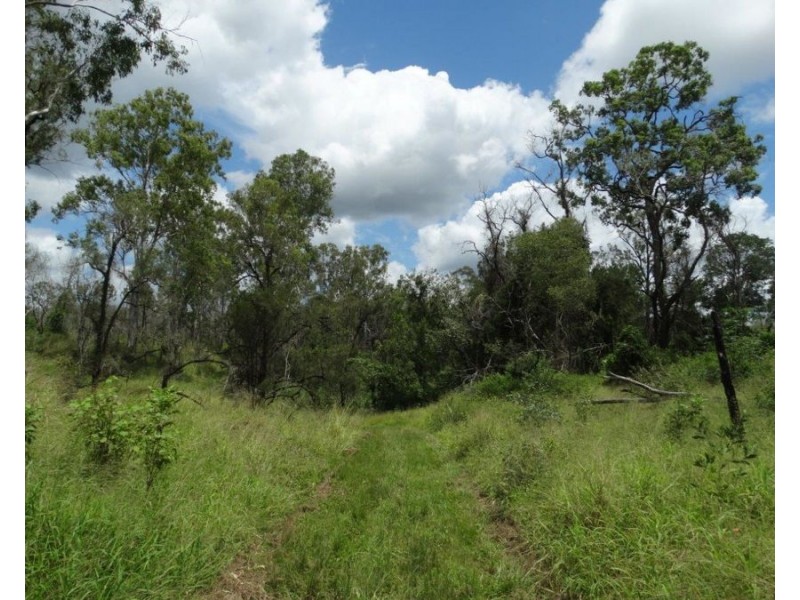 Lot 13 Lowmead Road, Lowmead QLD 4676