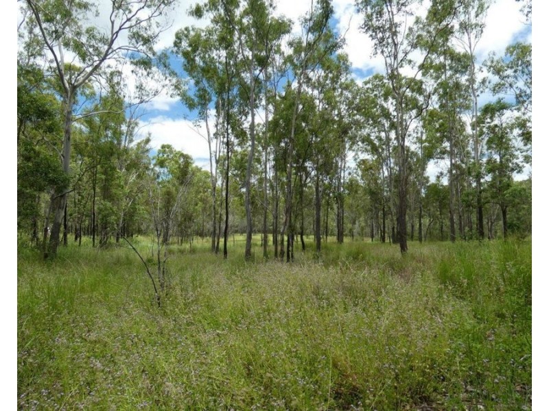 Lot 13 Lowmead Road, Lowmead QLD 4676