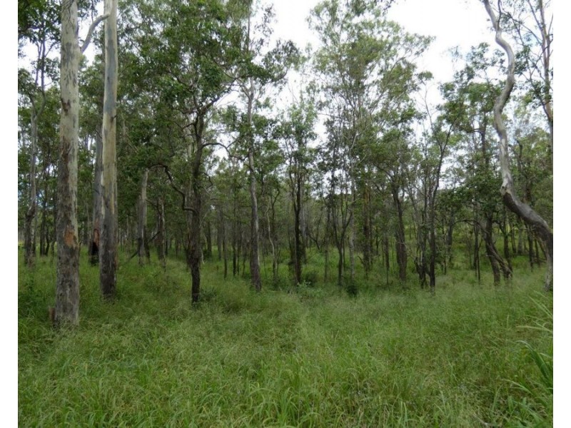 Lot 13 Lowmead Road, Lowmead QLD 4676