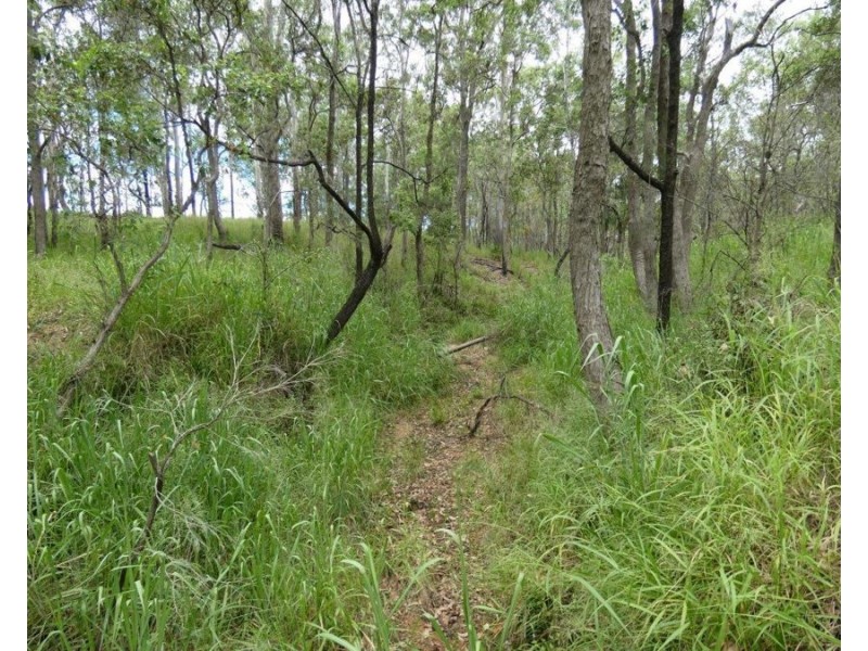 Lot 13 Lowmead Road, Lowmead QLD 4676