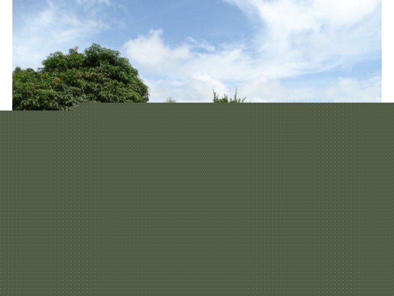 171 Newtons Road, Rosedale QLD 4674