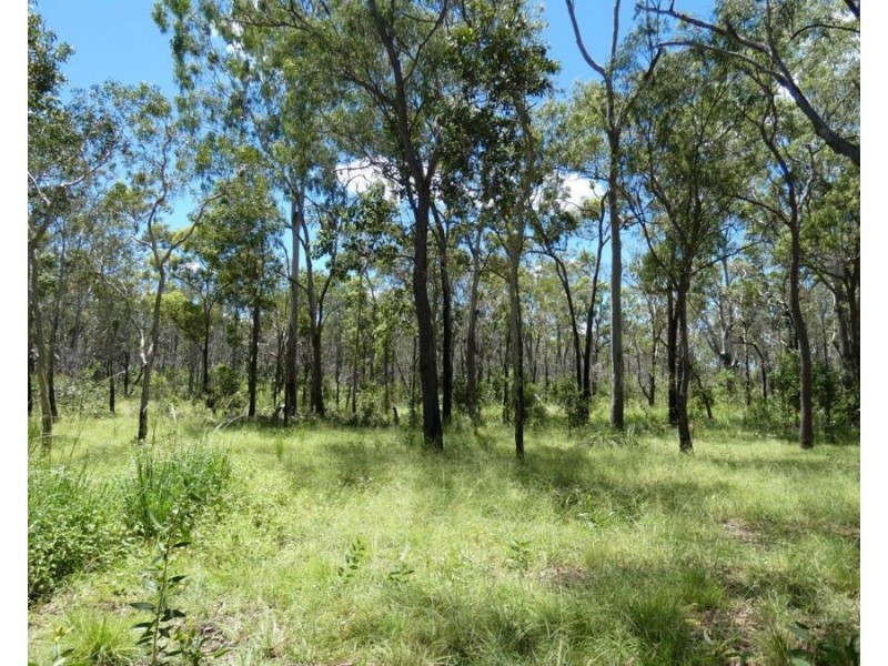 379 Whytallabah Road, Euleilah QLD 4674