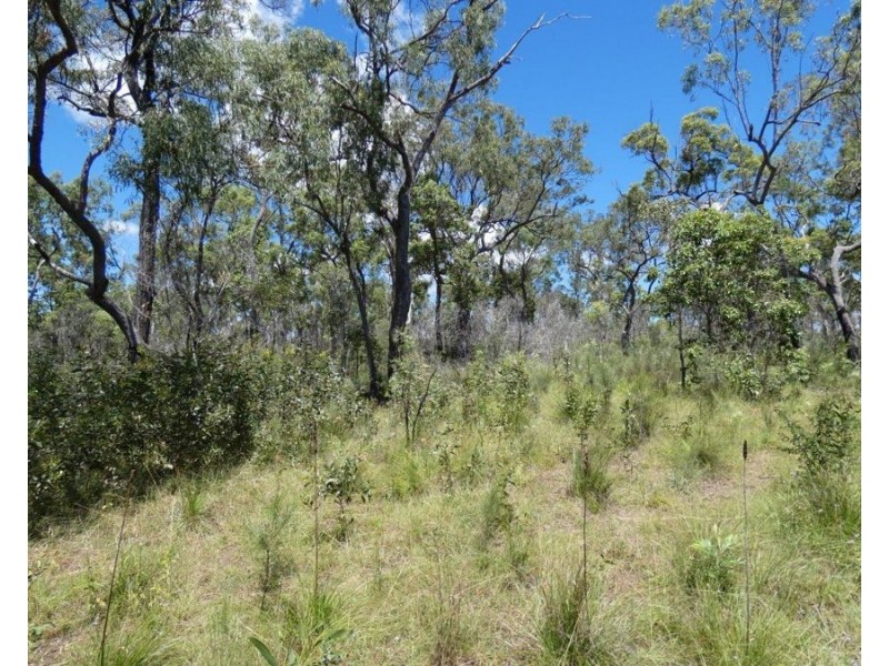 379 Whytallabah Road, Euleilah QLD 4674