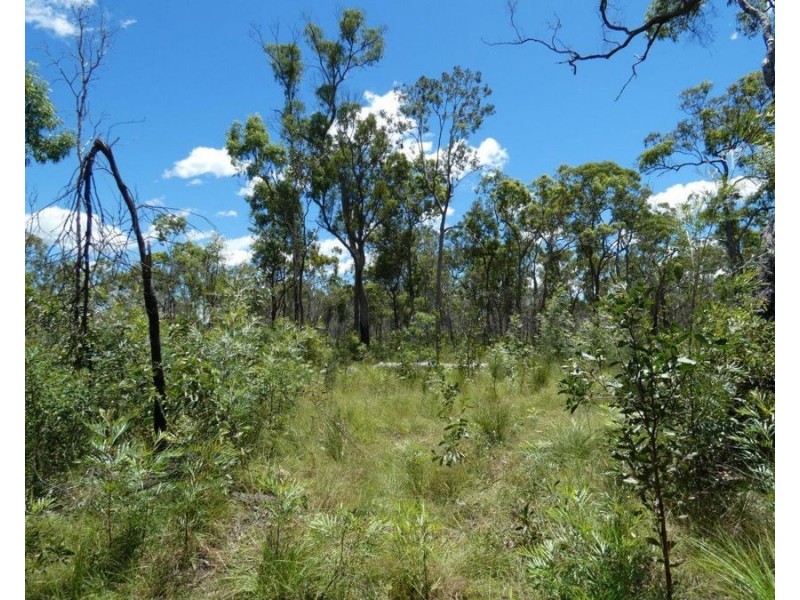 379 Whytallabah Road, Euleilah QLD 4674