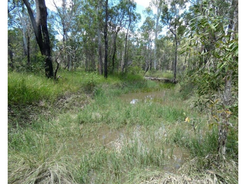 379 Whytallabah Road, Euleilah QLD 4674