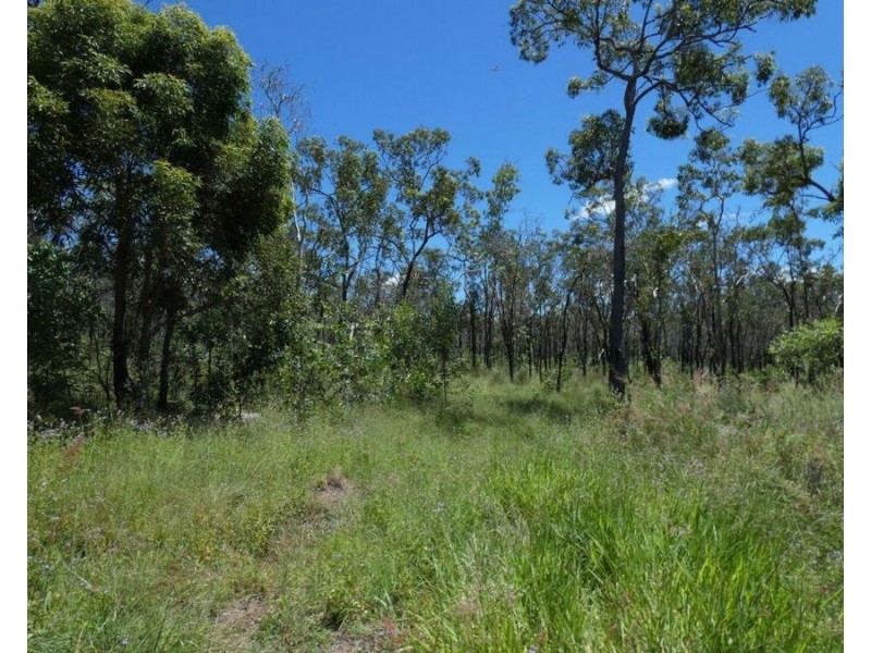 379 Whytallabah Road, Euleilah QLD 4674