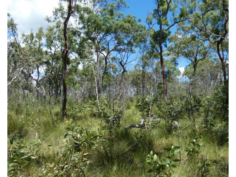 379 Whytallabah Road, Euleilah QLD 4674