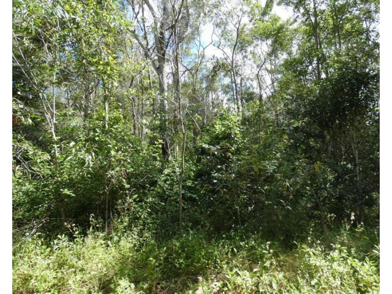 582 Mineral Road, Rosedale QLD 4674