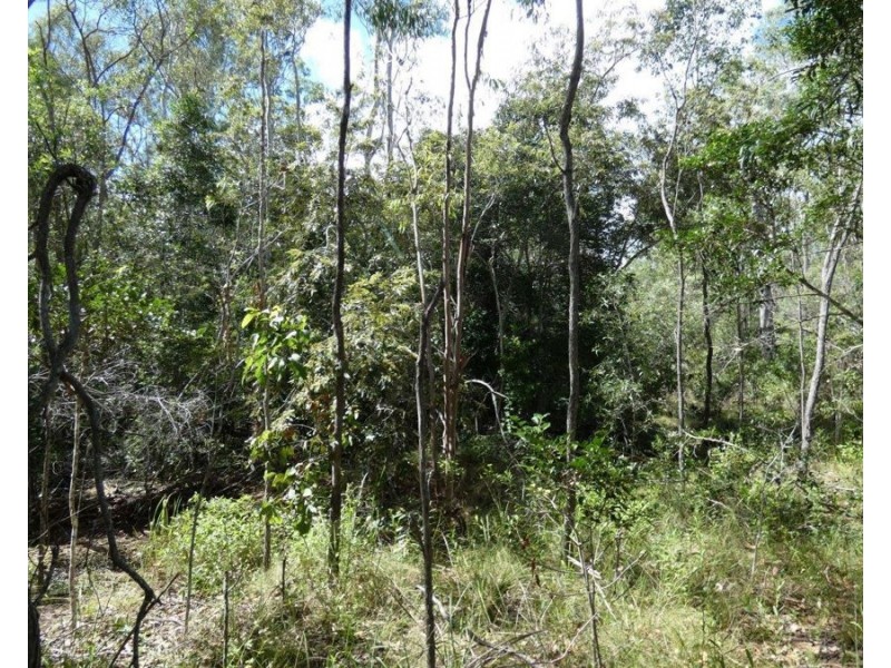 582 Mineral Road, Rosedale QLD 4674