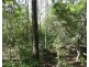 582 Mineral Road, Rosedale QLD 4674