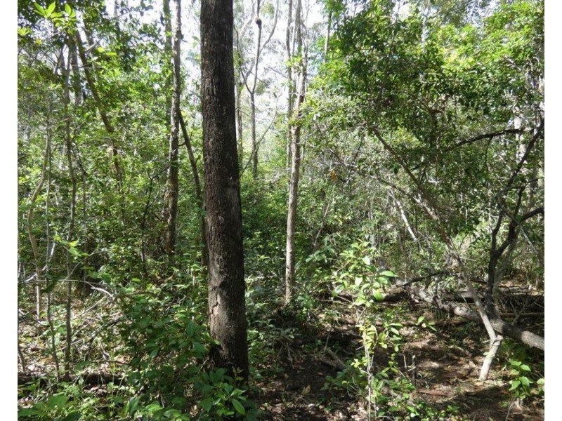 582 Mineral Road, Rosedale QLD 4674