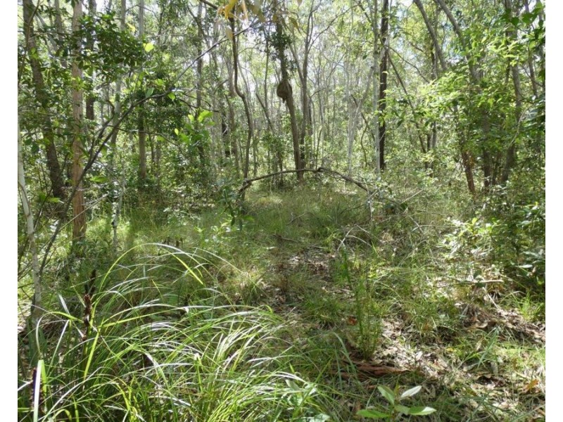 582 Mineral Road, Rosedale QLD 4674