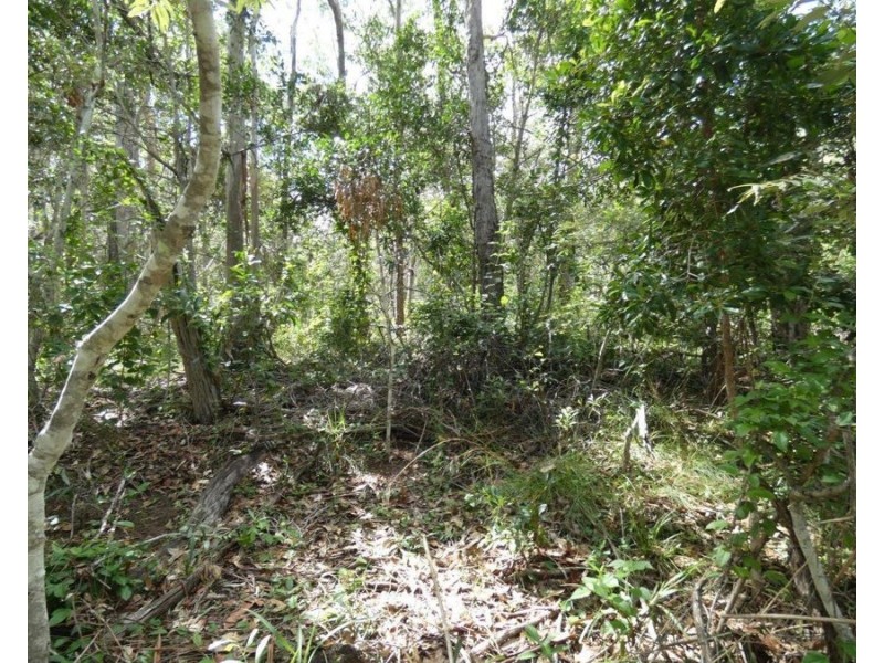 582 Mineral Road, Rosedale QLD 4674