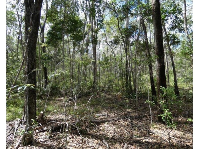 582 Mineral Road, Rosedale QLD 4674