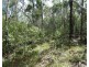 582 Mineral Road, Rosedale QLD 4674