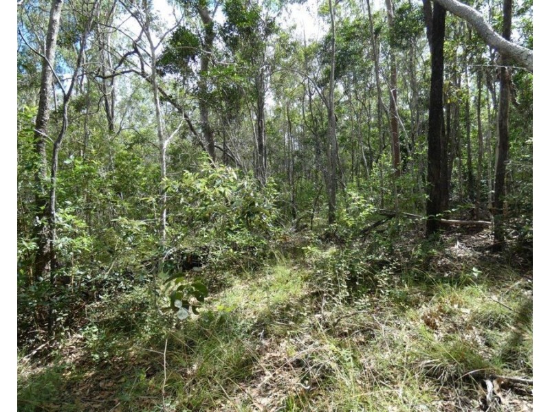 582 Mineral Road, Rosedale QLD 4674