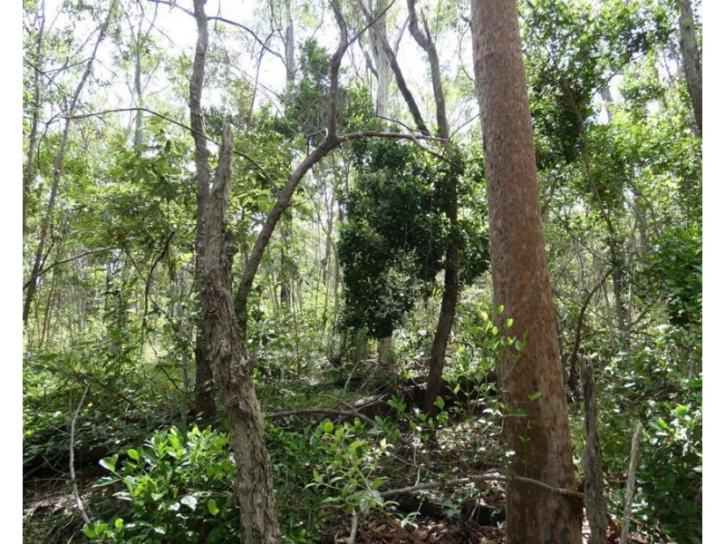 582 Mineral Road, Rosedale QLD 4674