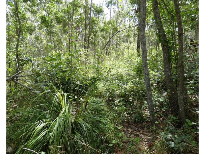 582 Mineral Road, Rosedale QLD 4674