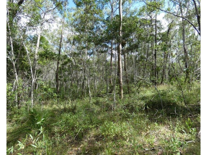 582 Mineral Road, Rosedale QLD 4674