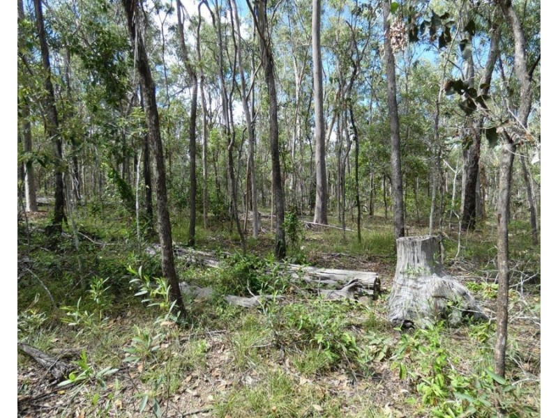 582 Mineral Road, Rosedale QLD 4674