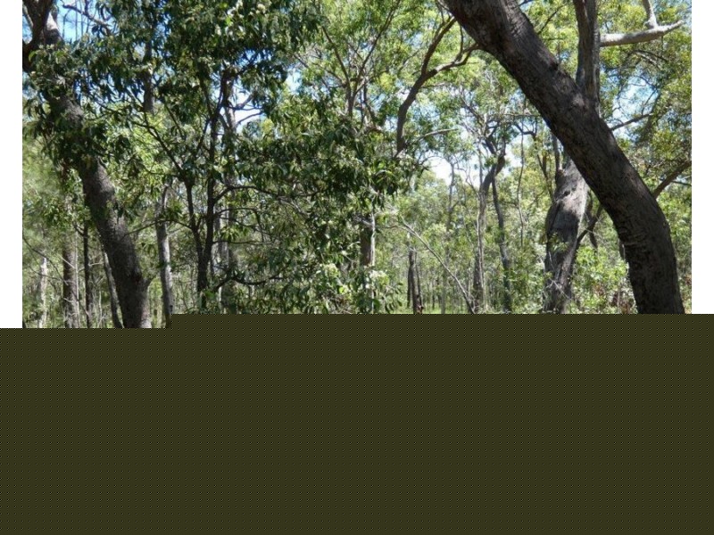 334 Pacific Drive, Deepwater QLD 4674