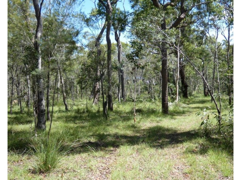 334 Pacific Drive, Deepwater QLD 4674