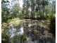 3583 Lowmead Road, Lowmead QLD 4676