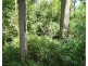 3583 Lowmead Road, Lowmead QLD 4676