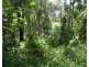 3583 Lowmead Road, Lowmead QLD 4676