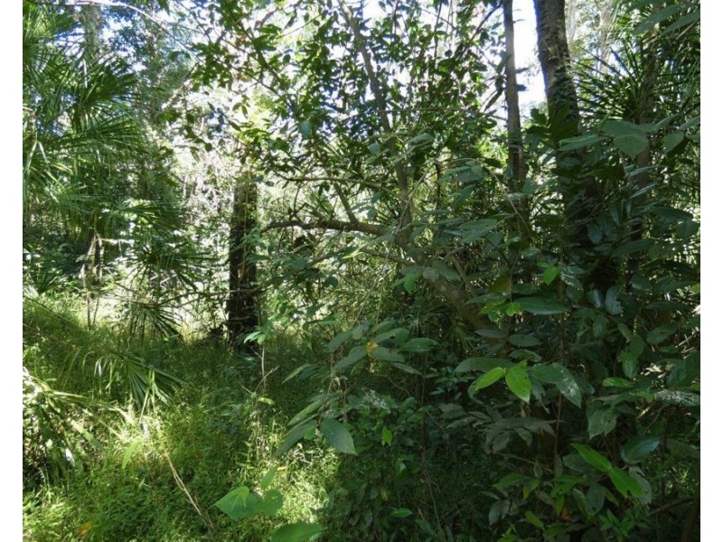 3583 Lowmead Road, Lowmead QLD 4676