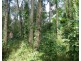 3583 Lowmead Road, Lowmead QLD 4676