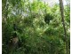 3583 Lowmead Road, Lowmead QLD 4676