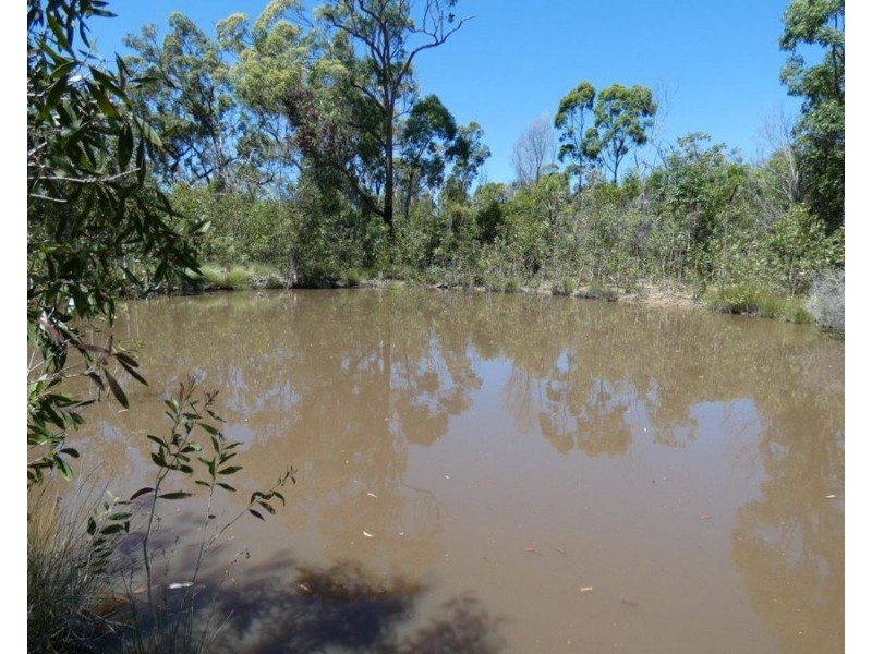 315 Deepwater Road, Deepwater QLD 4674