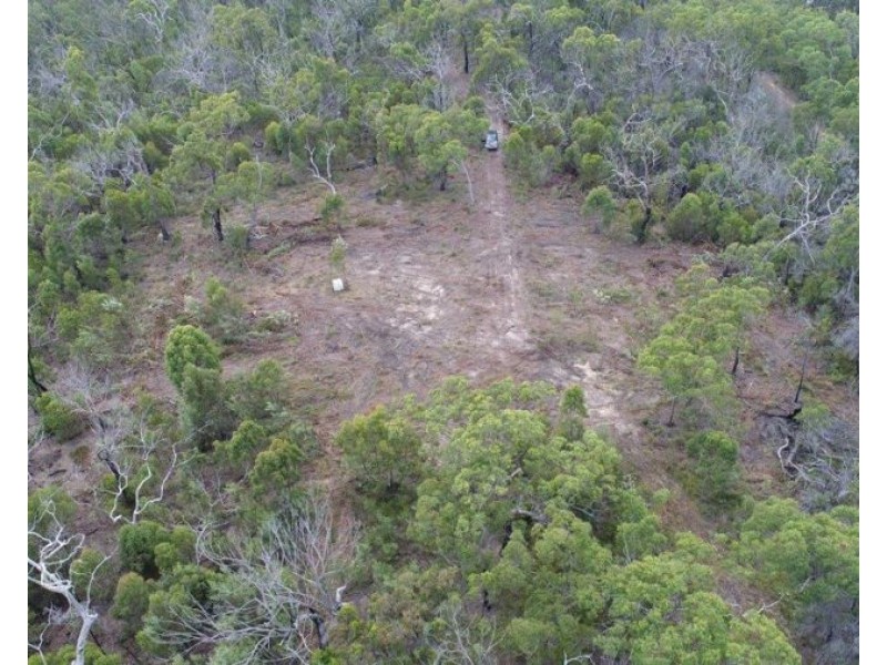 315 Deepwater Road, Deepwater QLD 4674