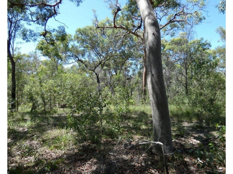 315 Deepwater Road, Deepwater QLD 4674