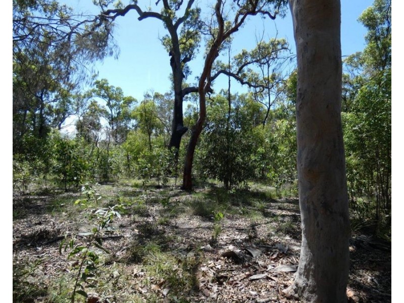 315 Deepwater Road, Deepwater QLD 4674