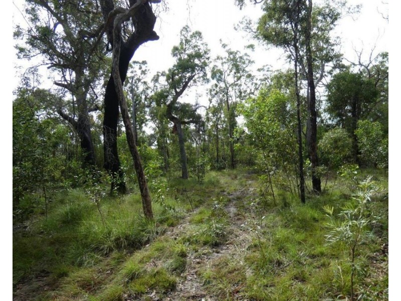 315 Deepwater Road, Deepwater QLD 4674