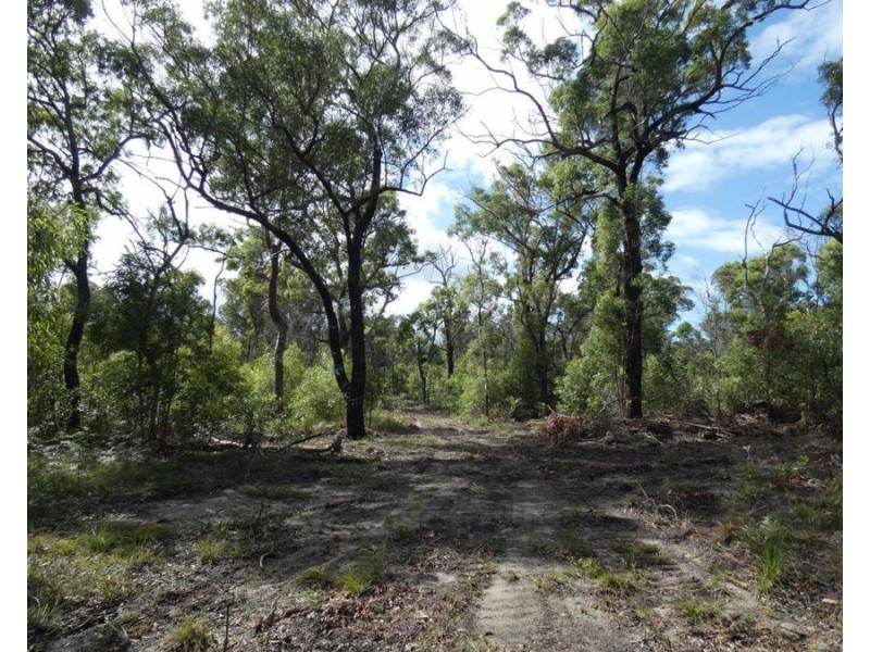 315 Deepwater Road, Deepwater QLD 4674