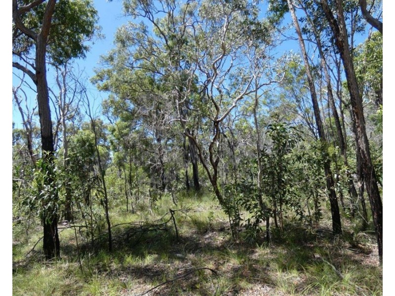 315 Deepwater Road, Deepwater QLD 4674