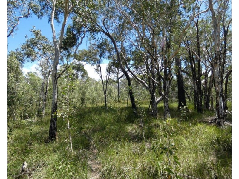 315 Deepwater Road, Deepwater QLD 4674