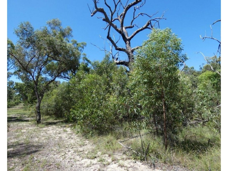 315 Deepwater Road, Deepwater QLD 4674