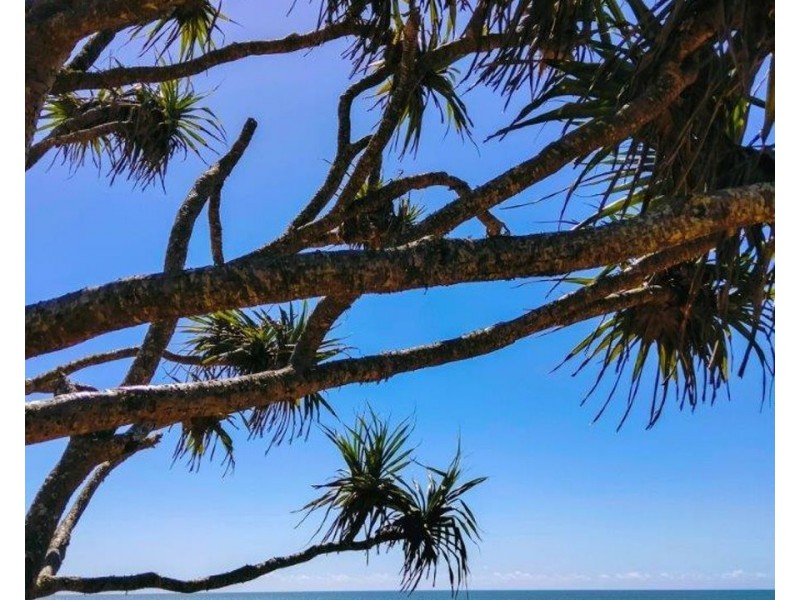 Lot 4 Matchbox Road, Deepwater QLD 4674