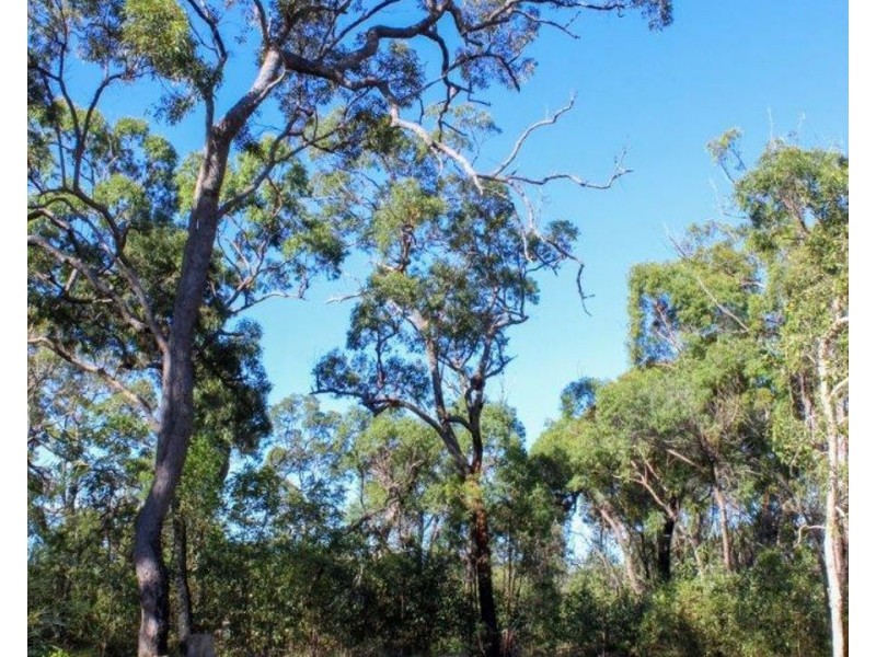 Lot 4 Matchbox Road, Deepwater QLD 4674
