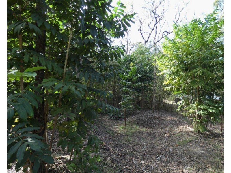 Lot 4 Matchbox Road, Deepwater QLD 4674