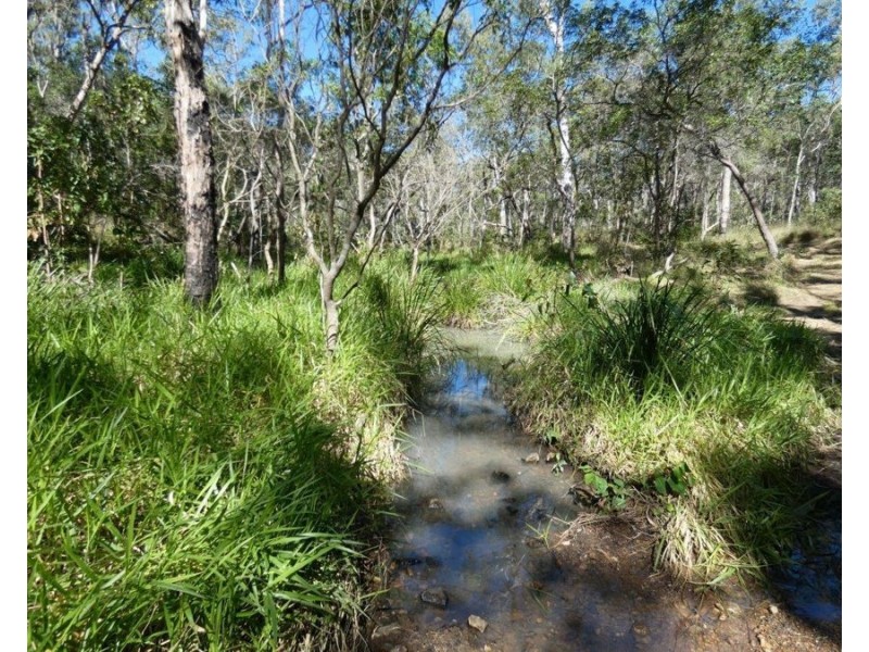 348 Whytallabah Road, Euleilah QLD 4674