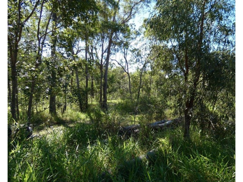 348 Whytallabah Road, Euleilah QLD 4674