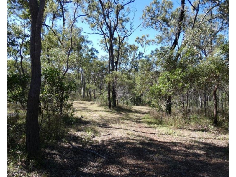 348 Whytallabah Road, Euleilah QLD 4674