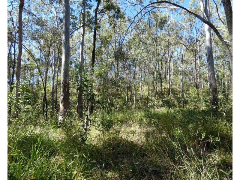 348 Whytallabah Road, Euleilah QLD 4674